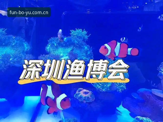 博鱼体育会员权益哪个好？2024年度六大会员方案深度评测